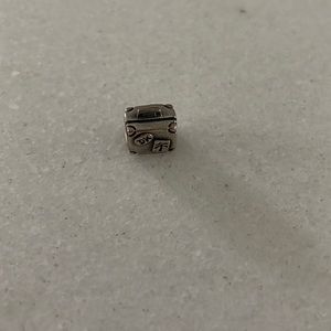 Pandora charm